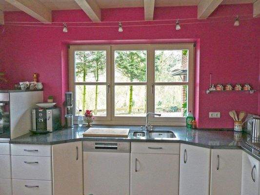 EBK mit großer Fensterfront