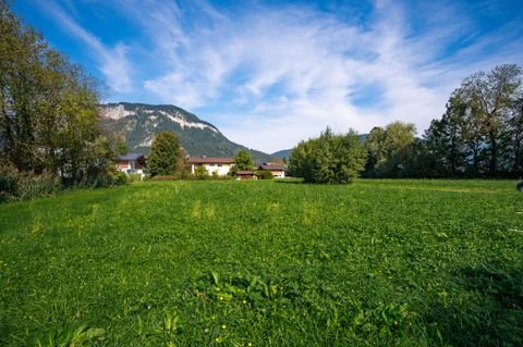 Sankt Johann in Tirol Grundstücke, Sankt Johann in Tirol Grundstück kaufen