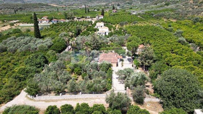 img_9a0739ac-e995-4ff8-b917-7812ee7b641b