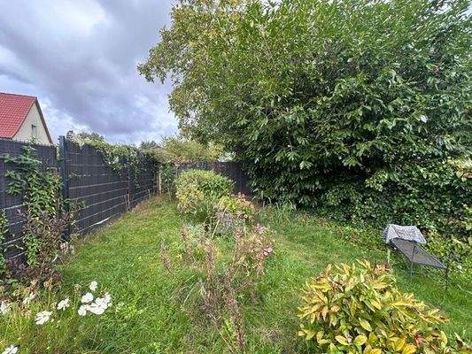 PHOTO-2024-10-22-11-34-57 (6)