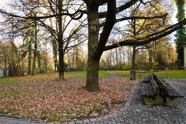 Grünfläche vorm Haus