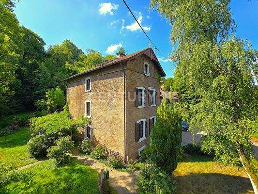 Zuweg zum Haupteingang des Hauses 