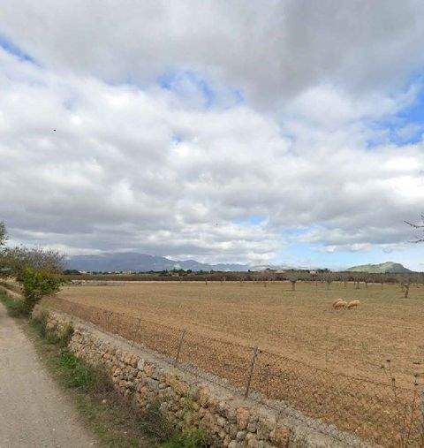 Inca Grundstücke, Inca Grundstück kaufen