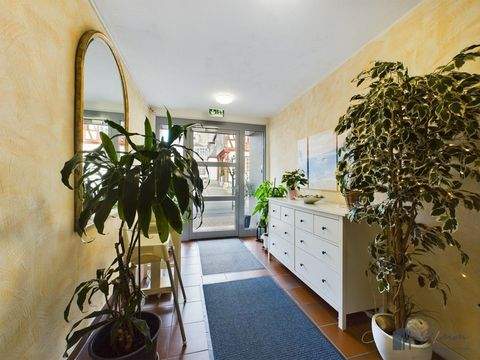 Nassau Häuser, Nassau Haus kaufen