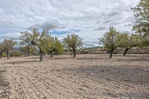 Marratxí Grundstücke, Marratxí Grundstück kaufen