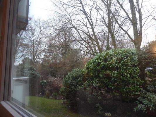 Wohnzimmerblick nach Süden