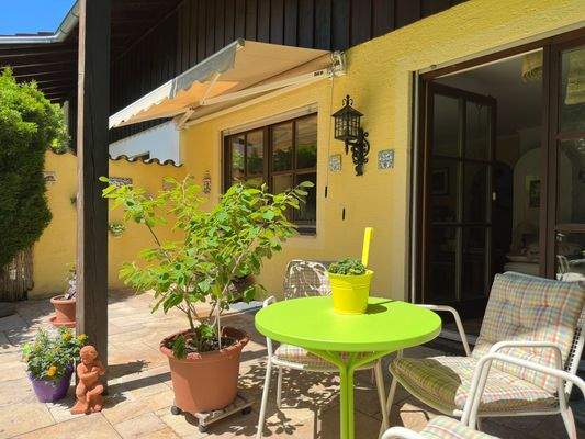 Impressionen vom Garten und der sonnigen Terrasse (Ausrichtung Süd-West)