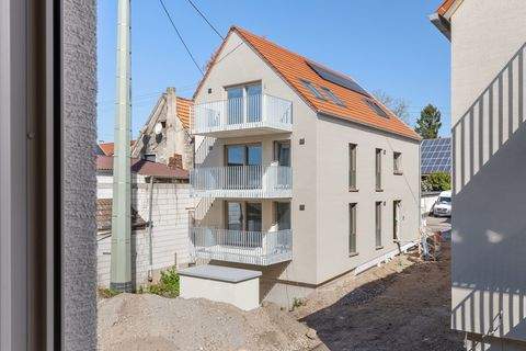 Freckenfeld Häuser, Freckenfeld Haus kaufen