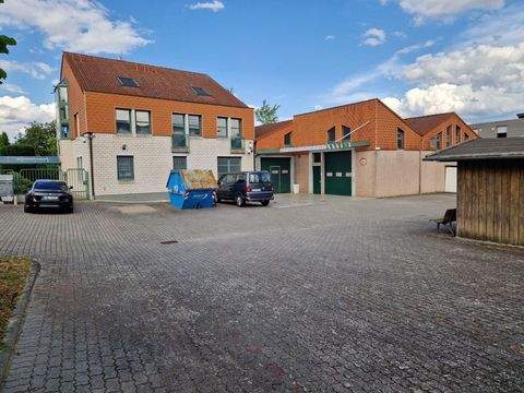 Frankfurt Halle, Frankfurt Hallenfläche