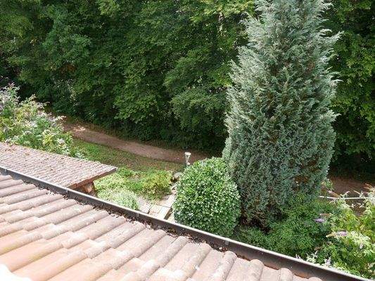 Blick auf den Fußweg in den Kurpark