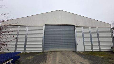 Volkach Halle, Volkach Hallenfläche