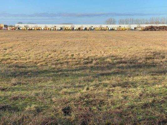 Blick auf das Grundstück von der B273