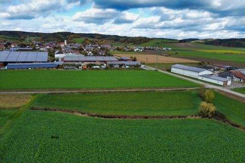 Moosthenning Bauernhöfe, Landwirtschaft, Moosthenning Forstwirtschaft