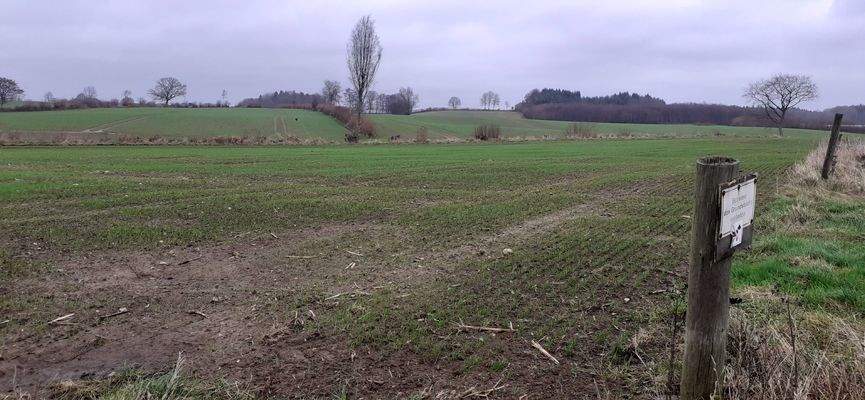 Fernblick Grundstück.jpg