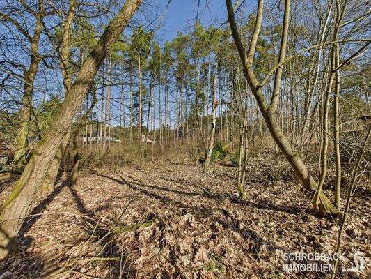 Blick zur hinteren Grundstücksgrenze