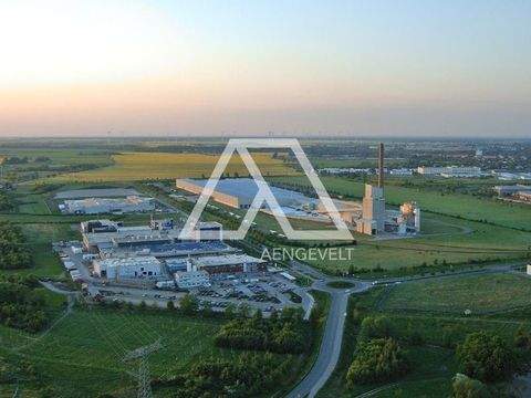 Bitterfeld-Wolfen Halle, Bitterfeld-Wolfen Hallenfläche