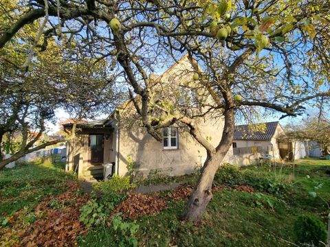 Zirkow Häuser, Zirkow Haus kaufen