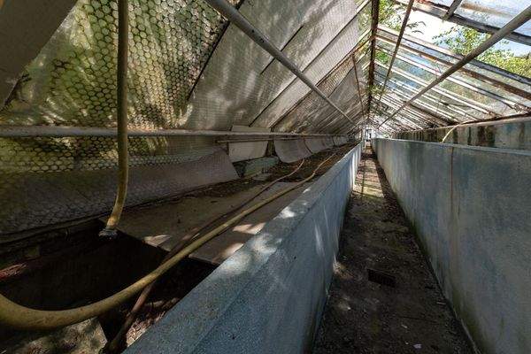 weiteres Gewächshaus