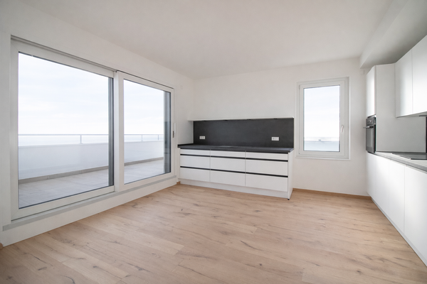 Wohnbereich mit Dachterrasse und Küche