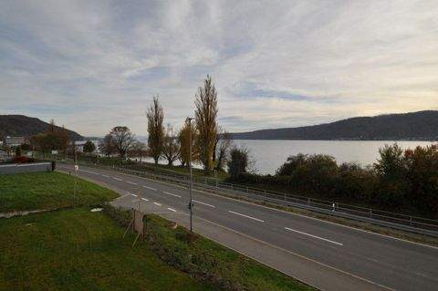 Bodman-Ludwigshafen Wohnungen, Bodman-Ludwigshafen Wohnung mieten