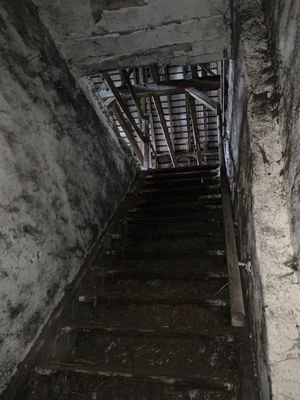 IMG_7541
