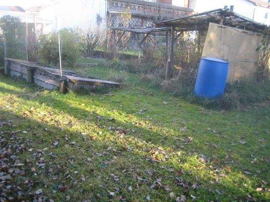 Garten ( alte Gemüsebeete )