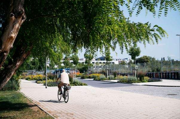 Neu ausgebaute Lili-Elbe-Straße