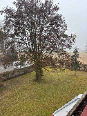 Image - 2025-12-29T115737.706.jpg