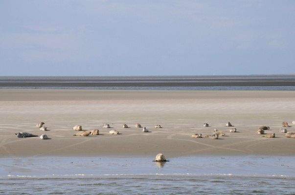 Ferienhaus-Holland-kaufen.jpg007
