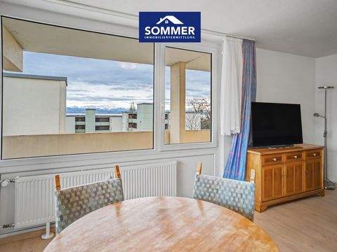 Immenstaad am Bodensee Wohnungen, Immenstaad am Bodensee Wohnung kaufen