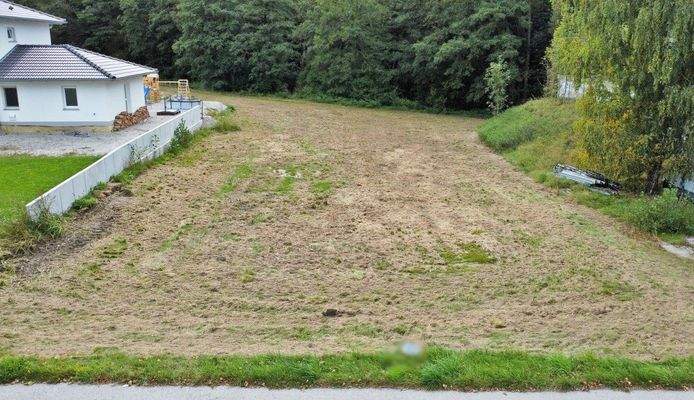 Luftbild Grundstück (6).JPG