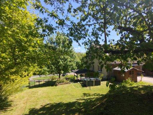 Sonniger Garten mit herrlichem Baumbestand