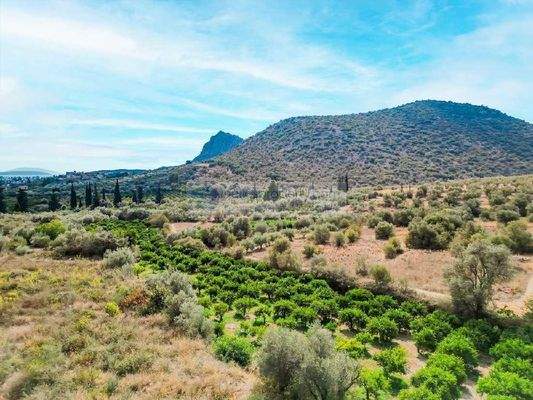 21ee09b4f1ee44bab2f1d355341b0bb4-original