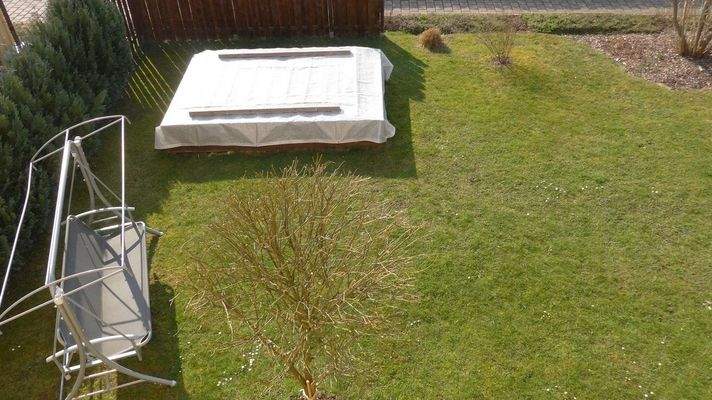 Blick zum Garten und Pool