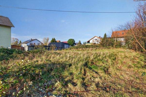 Frontansicht linkes Grundstück