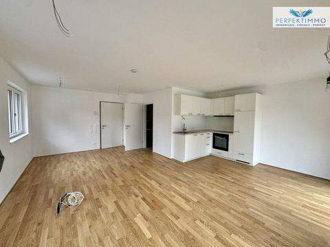 Hohenweiler Wohnungen, Hohenweiler Wohnung mieten