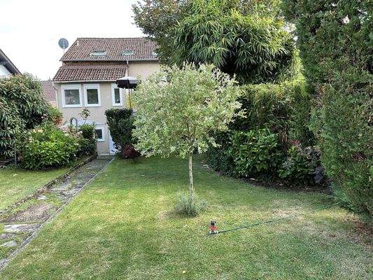 WhatsApp Bild 2025-07-28 um 13.50.53_e4ce3e64.jpg