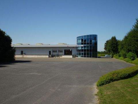 Salzkotten Halle, Salzkotten Hallenfläche