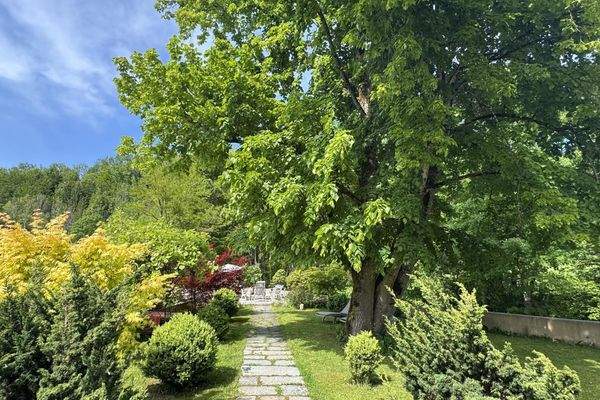 Zugang Terrasse West "Spitz"