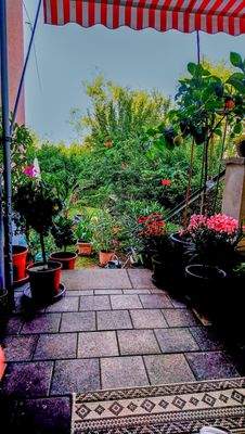 Aussicht von der Terrasse 