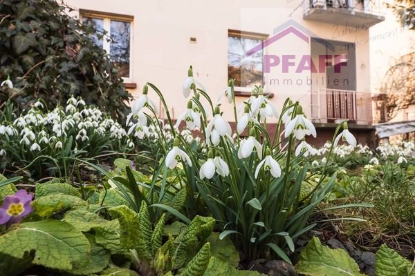 Garten (6)