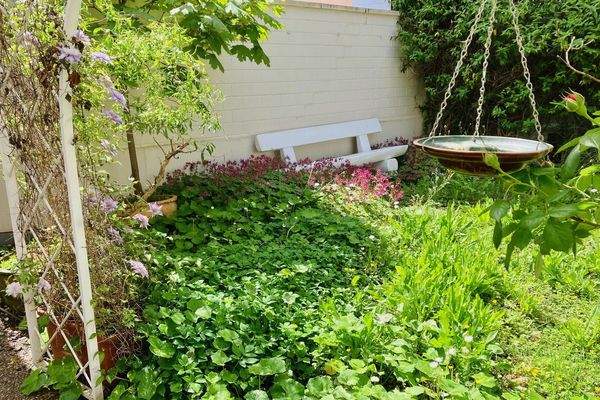 Begrünte Dachterrasse