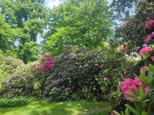 Blumenzauber im Schlosspark