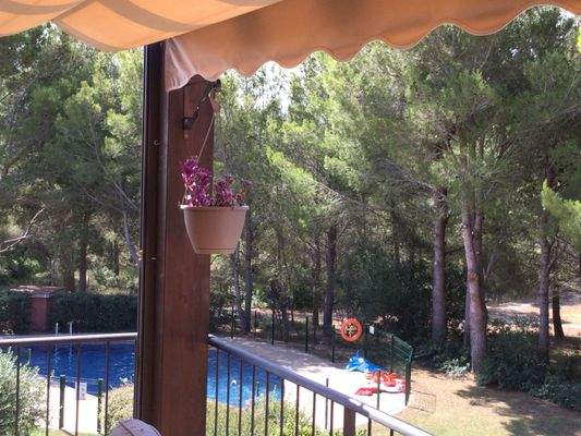 Blick eigene Terrasse 20 QM