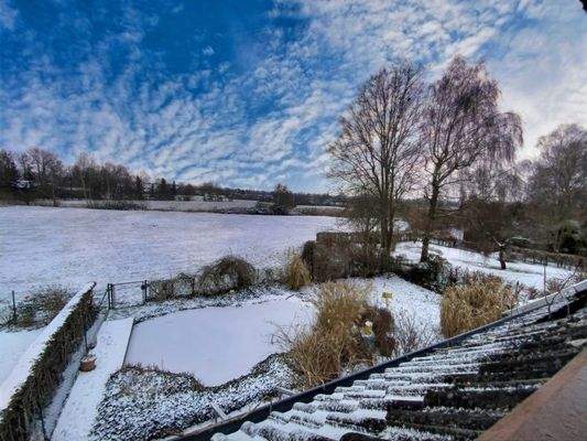 Klein aber FEIN! Blick in den Garten