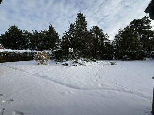 PHOTO-2026-01-10-14-03-24[4]