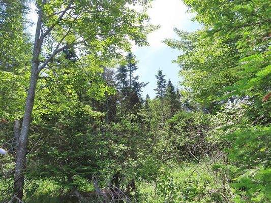 Cape Breton - Ideal für´s Kapital - Einzigartiges 