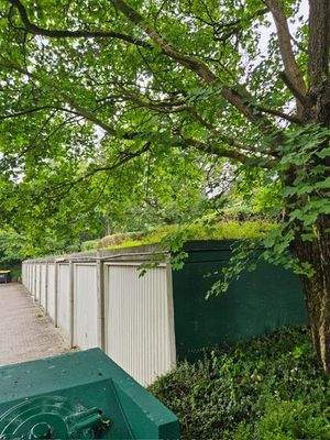 Garagenhof mit Gründach