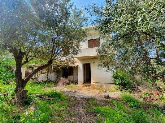 Kreta Sisi - vier Wohnungen in einem großen Garten zur Renovierung