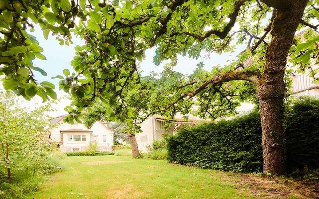 Hier sehen Sie den Garten mit seinem alten Baumbestand